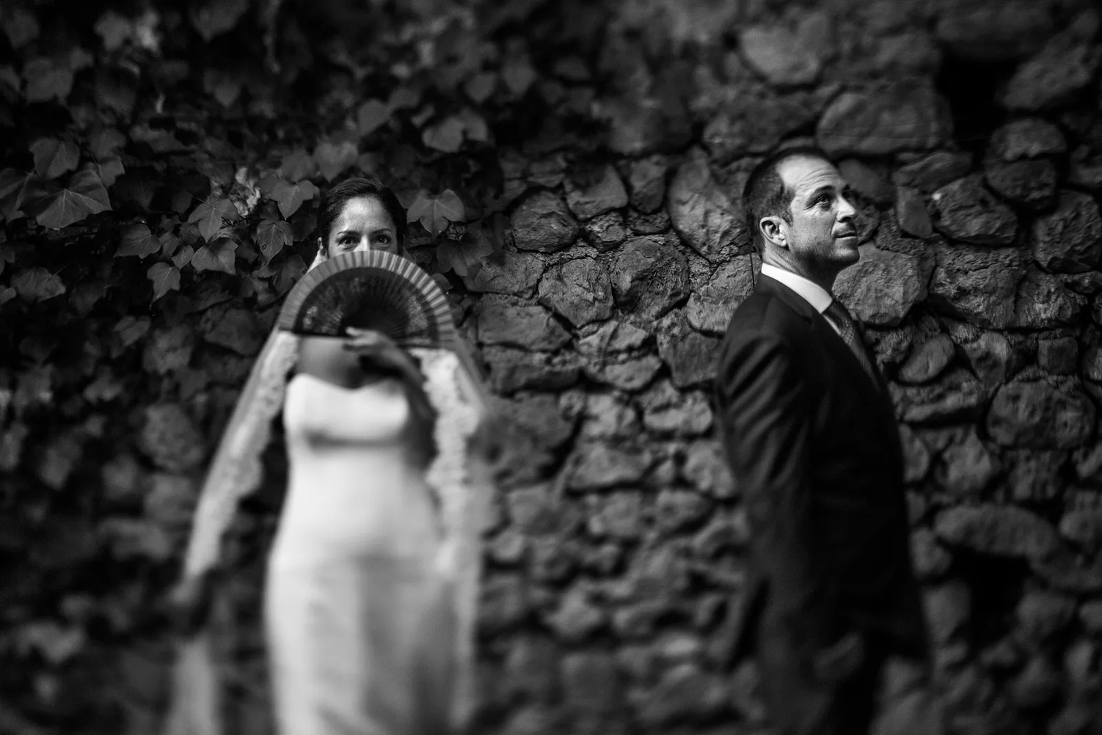 Las mejores fotografías del 2017