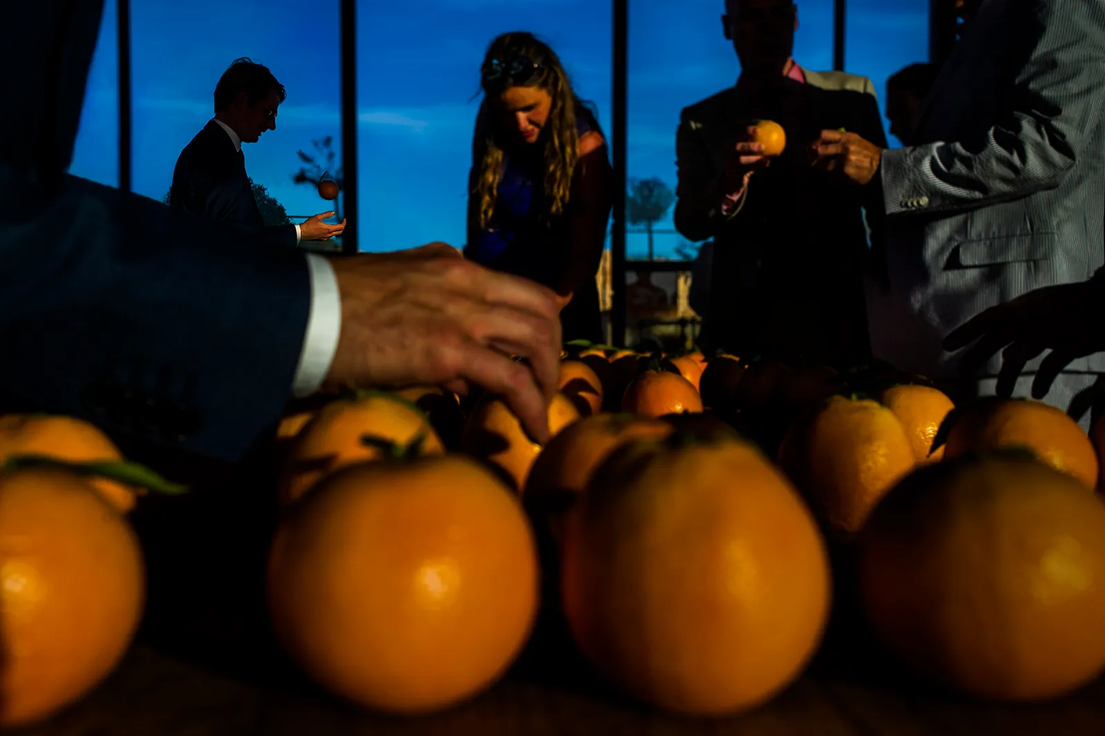 Las mejores fotografías del 2017