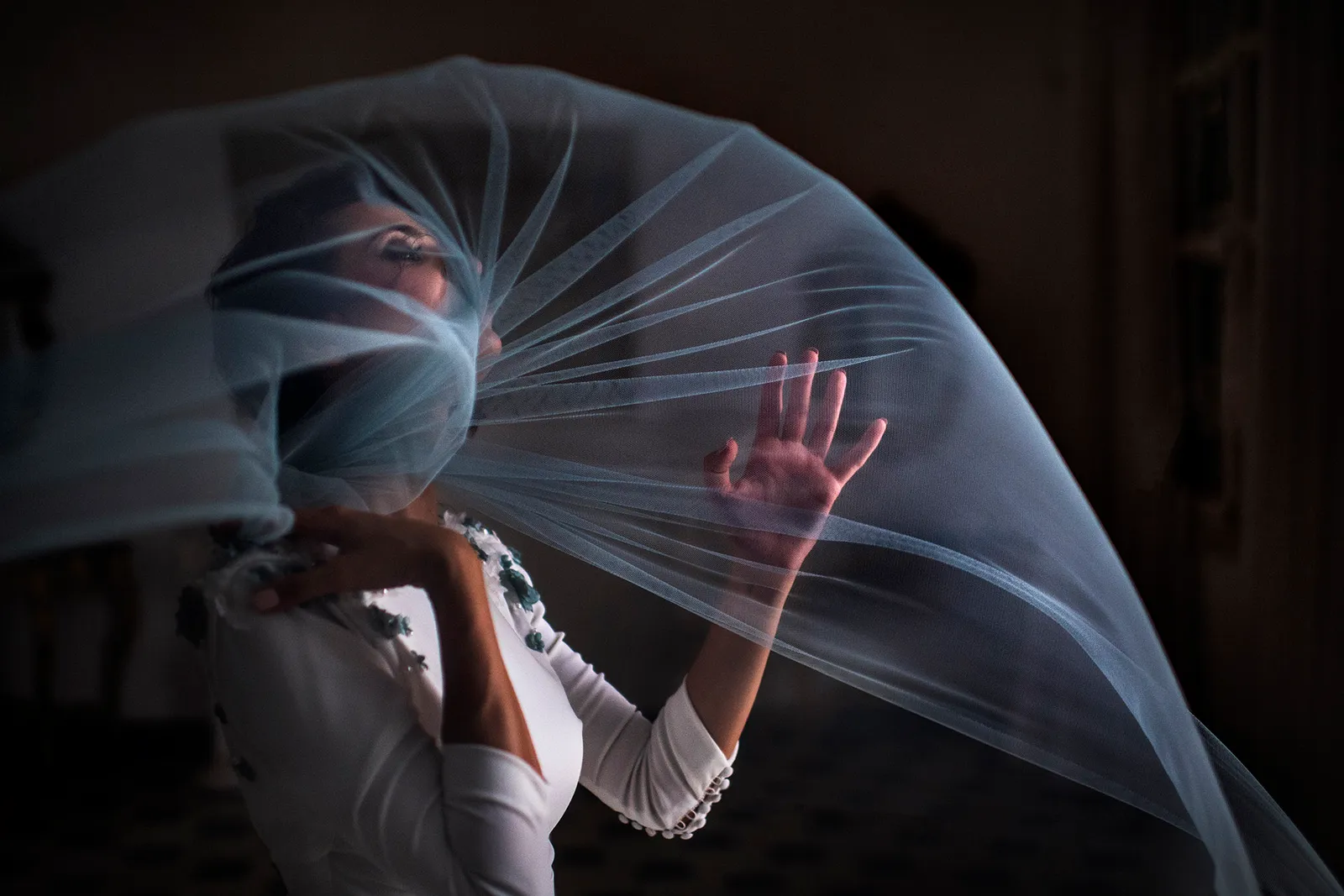 Las mejores fotografías del 2017
