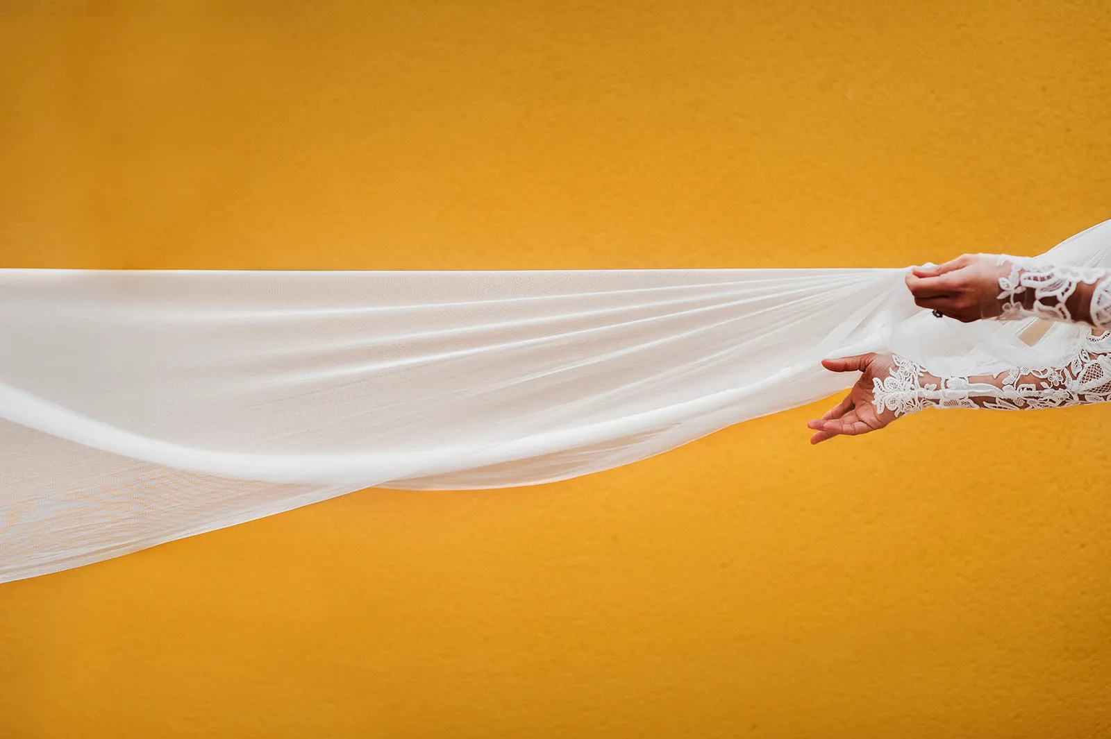 Las mejores fotografías del 2017
