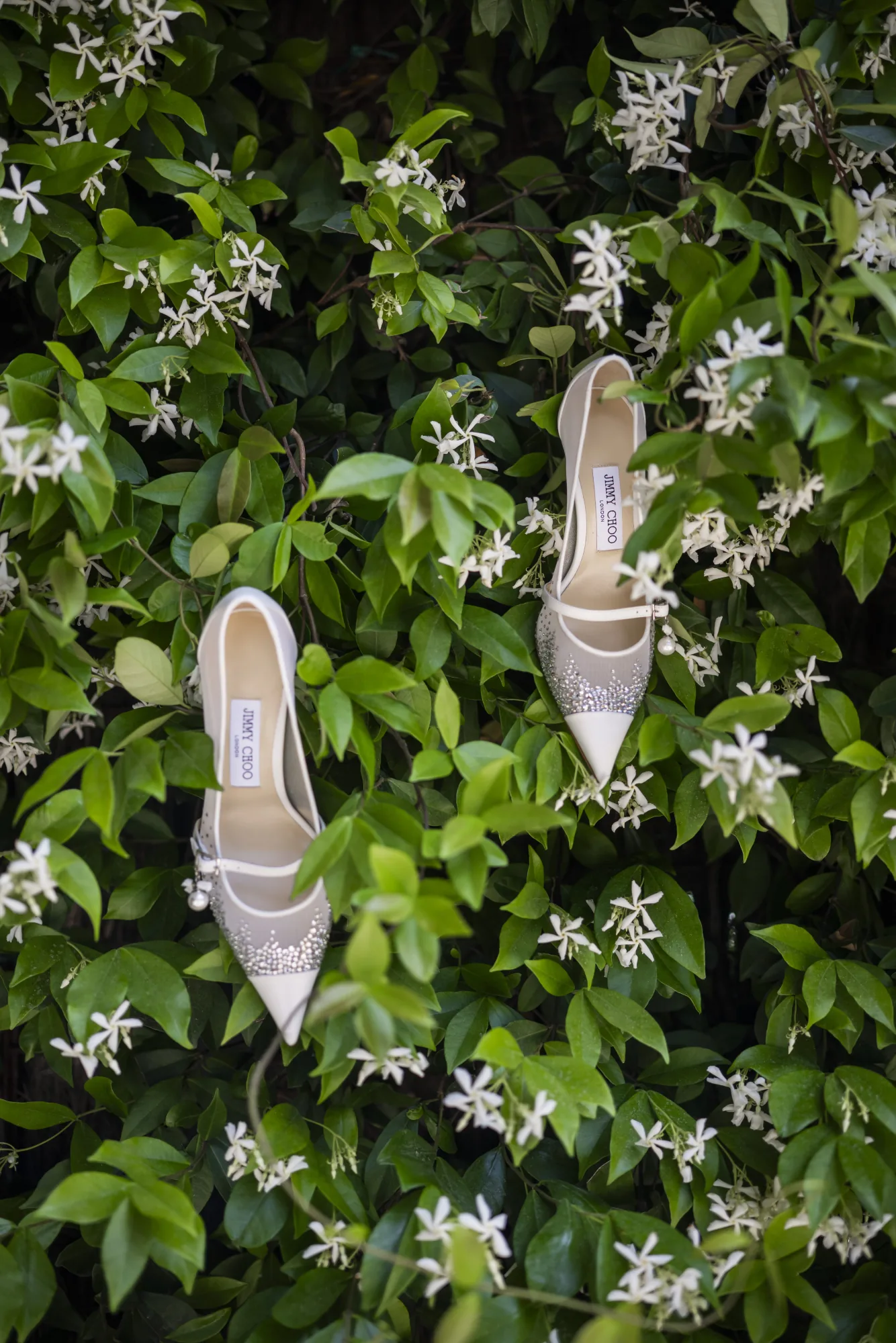 Bridal shoes hanging in a jasmine hedge