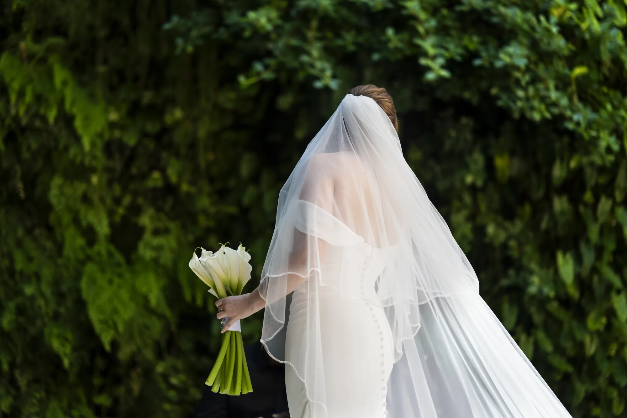 Bride seen from behind with calla lilies and her veil against greenery