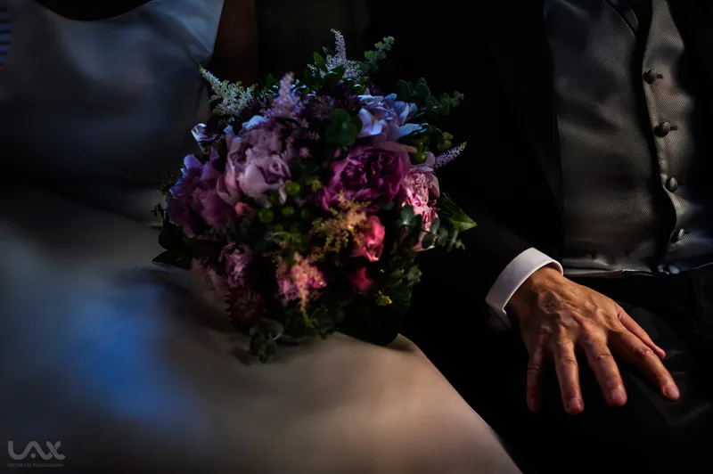 Elena & Àlex / Bodegas Raimat / Boda en Lleida