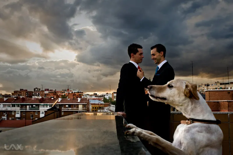 Mejores instantes 2012 ( 2ª Parte)