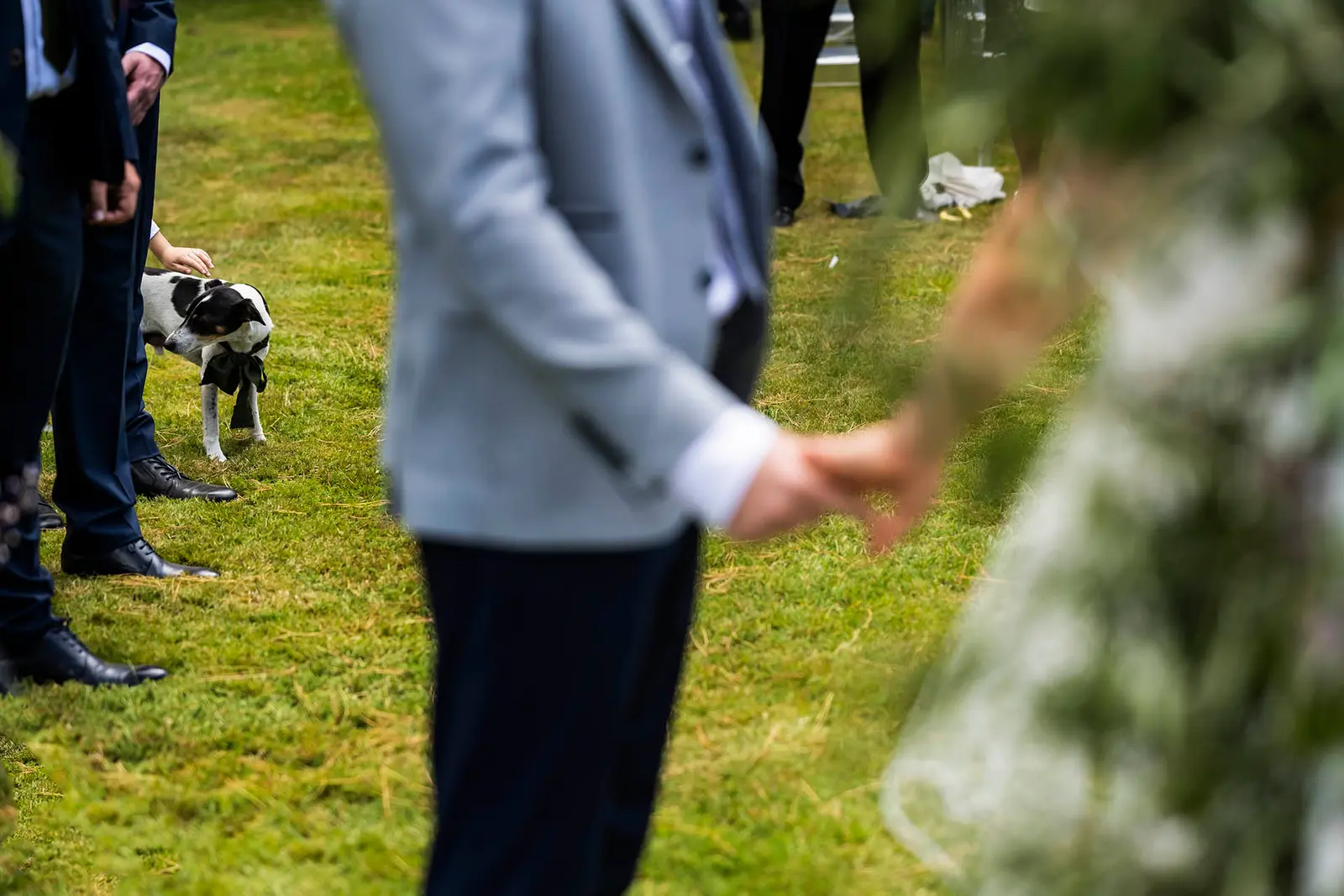 Paul & Brodie | New Zealand Wedding