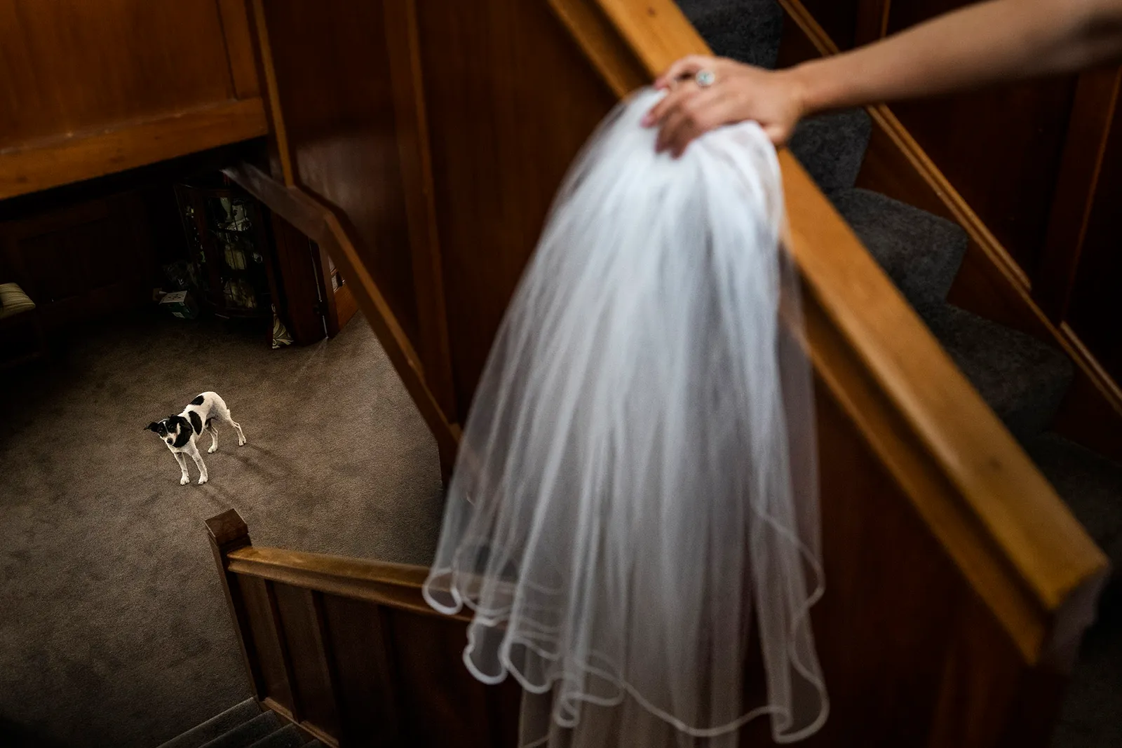 Paul & Brodie | New Zealand Wedding