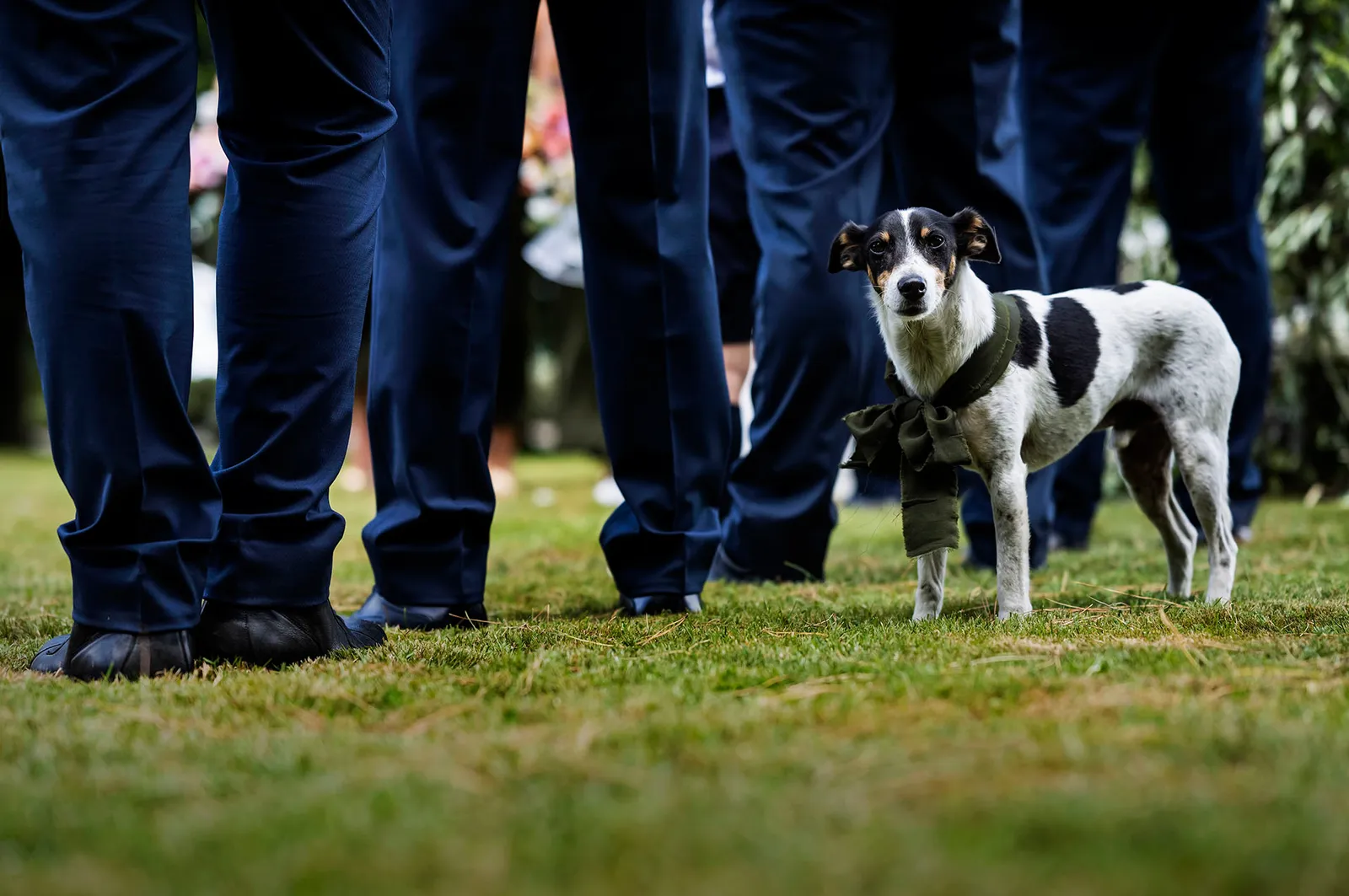 Paul & Brodie | New Zealand Wedding