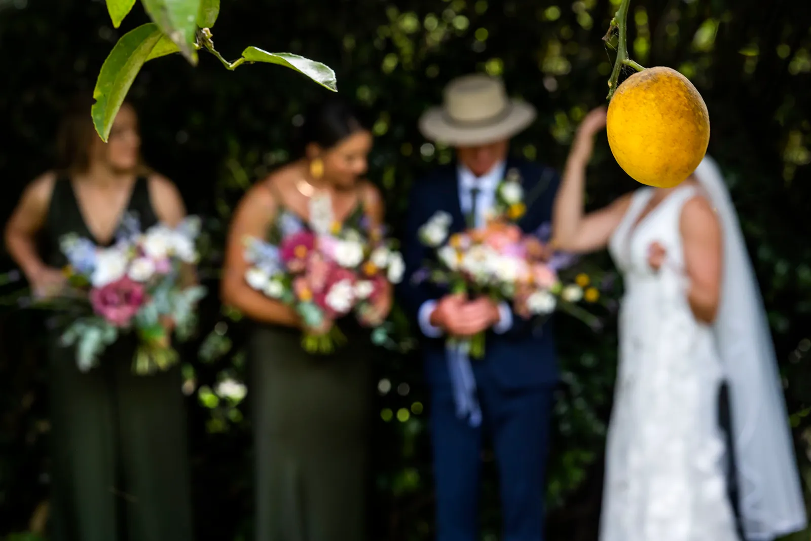 Paul & Brodie | New Zealand Wedding