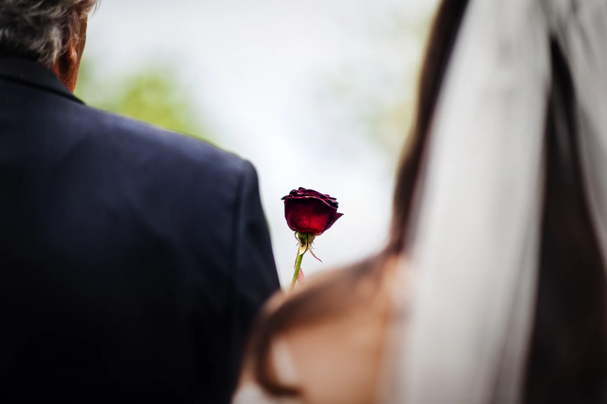 Single red rose held behind a dark suit