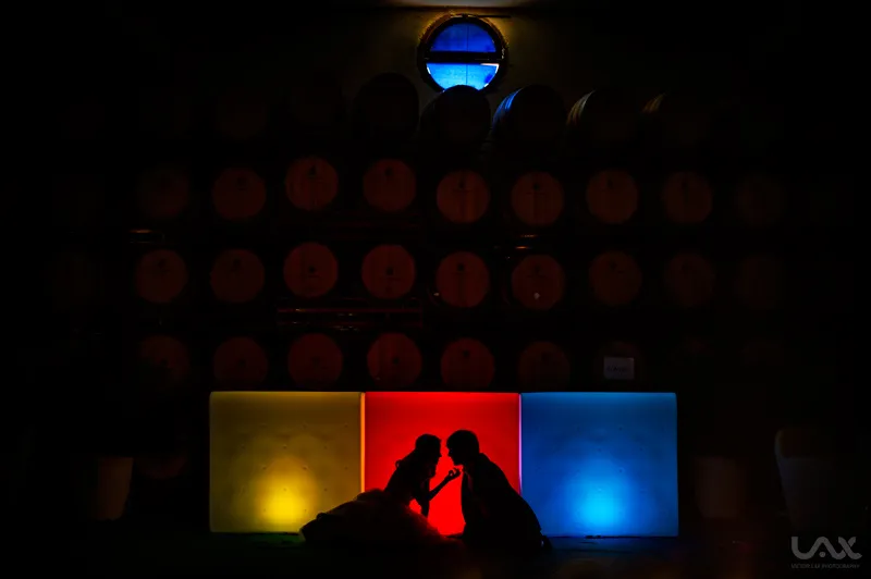 Sofía + Ignacio / Boda en Cariñena / Bodegas Marín