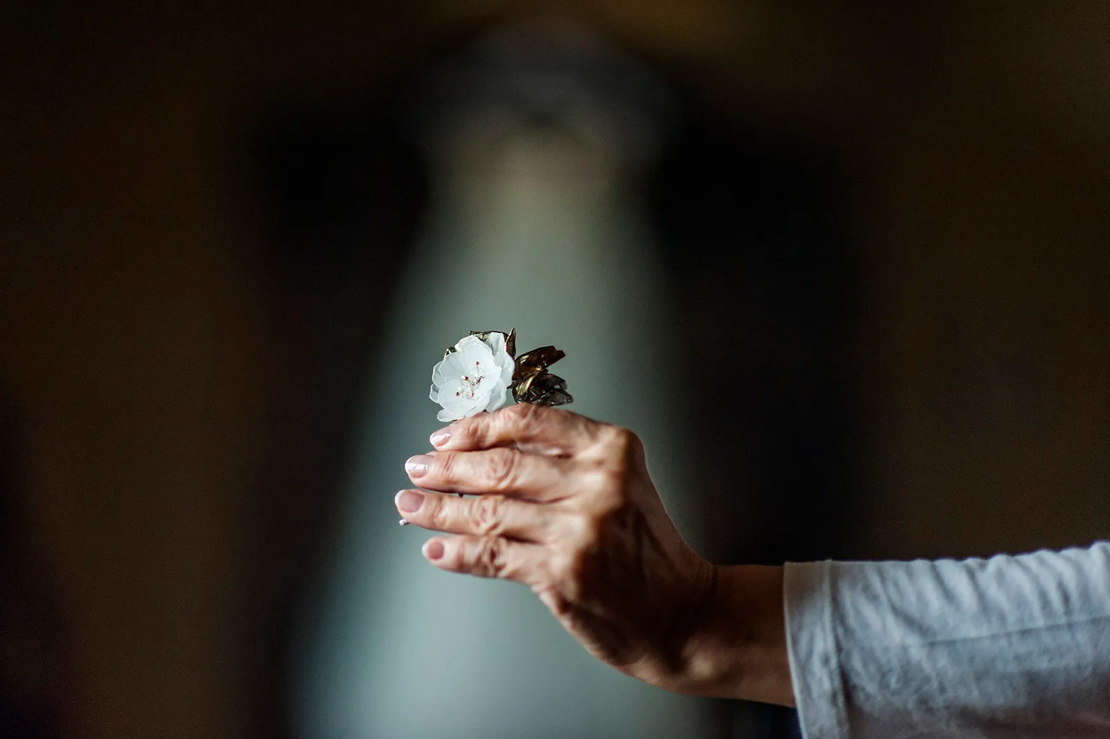Vanessa y Jakob | Boda en Castell de Tamarit